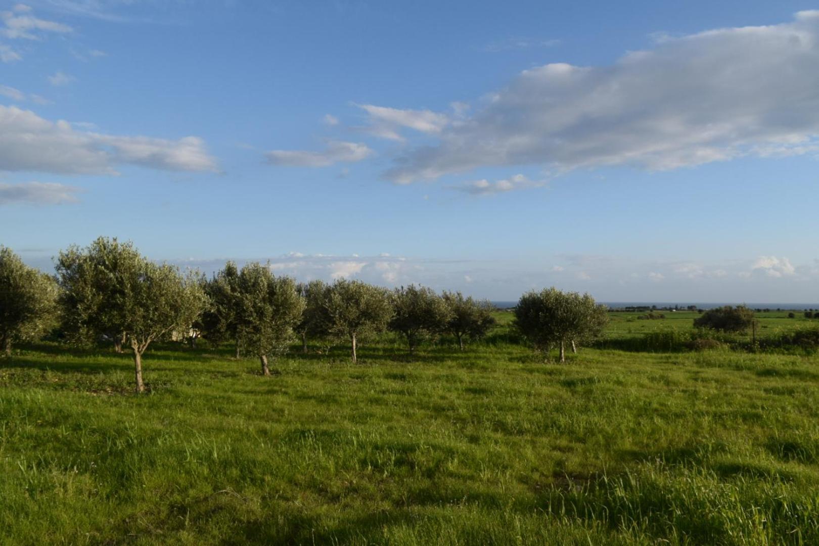 Mersinera Paradise Garden 2 Larnaca Zewnętrze zdjęcie